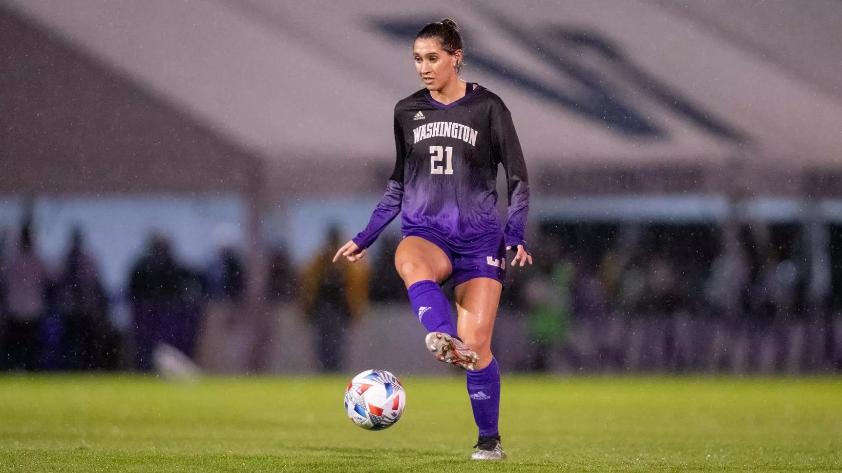 的完美人选 的完美人选