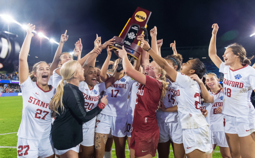 策稳扎稳打 策稳扎稳打